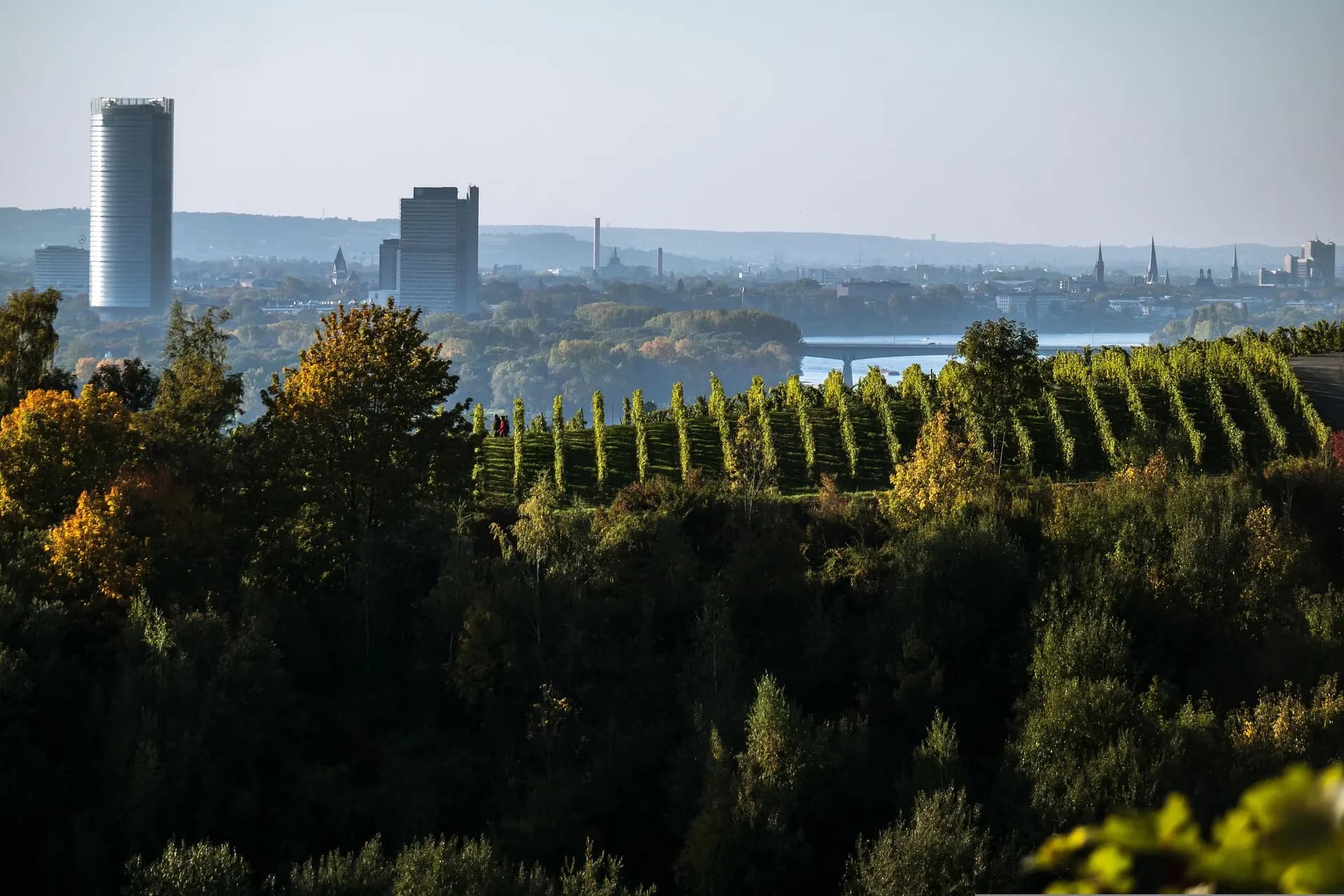 Stadtbild Bonn
